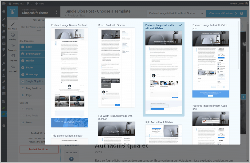 Wizard Single Post Template Options