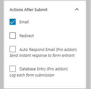 After Form Submit Options