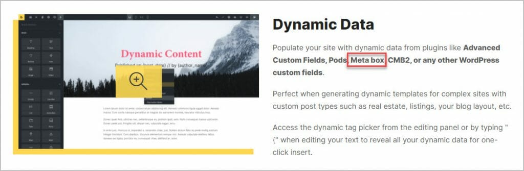 bricks builder and meta box